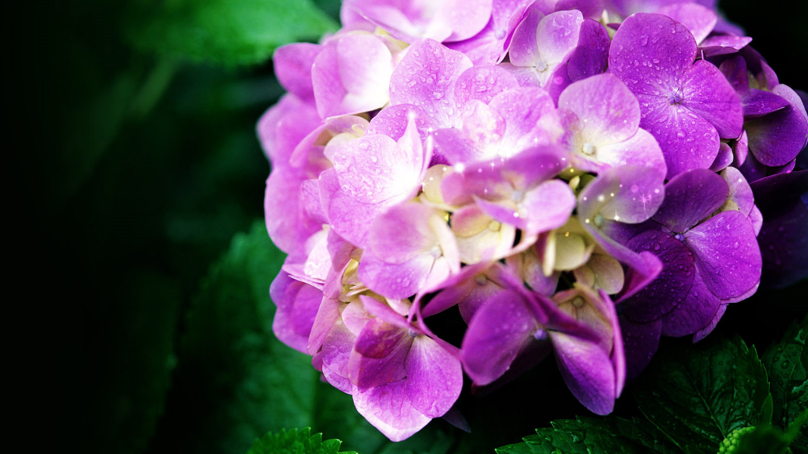 發快手特別屌的說說(精選60句)